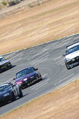 media/May-06-2023-Lucky Dog Racing (Sat) [[8f2256f436]]/Turn 2 10a/
